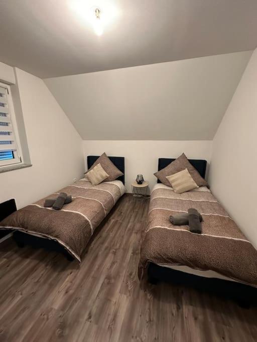Appartement Algo Algolsheim Luaran gambar